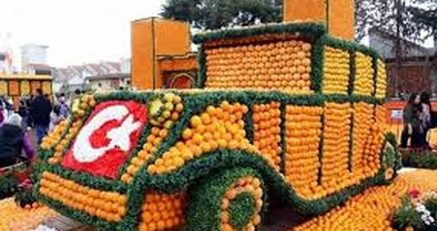 Adana Portakal Çiçeği Festivali