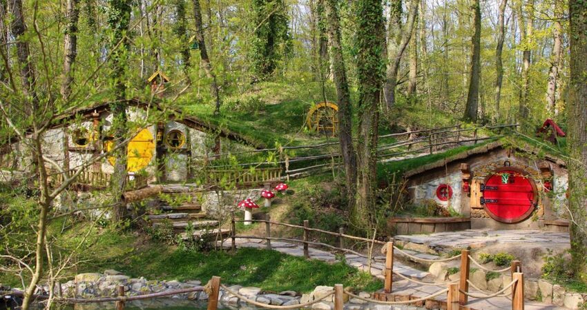 Sapanca Ormanya Maşukiye