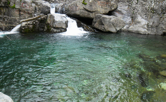 Ayvalık Cunda Kazdağları Turu