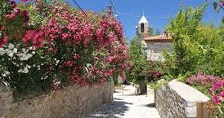 Datça Badem Çiçeği Festivali