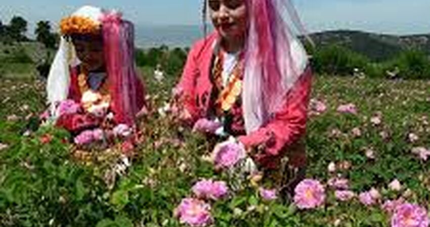 Isparta Gül Festivali Turu