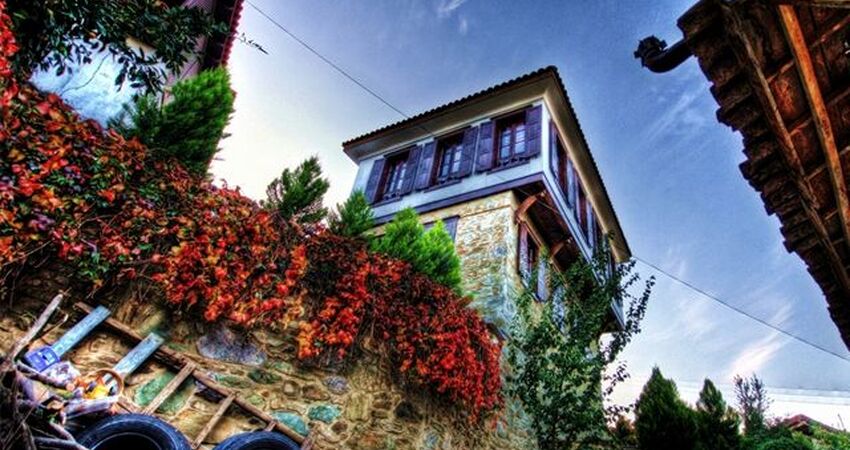 Ege Turu