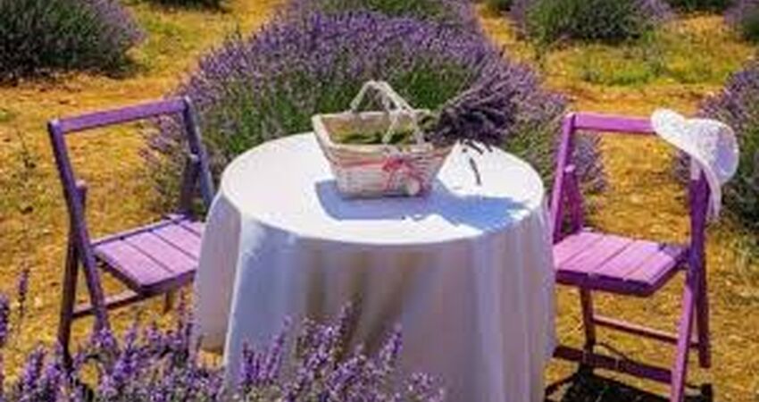 Isparta Lavanta Festivali Turu