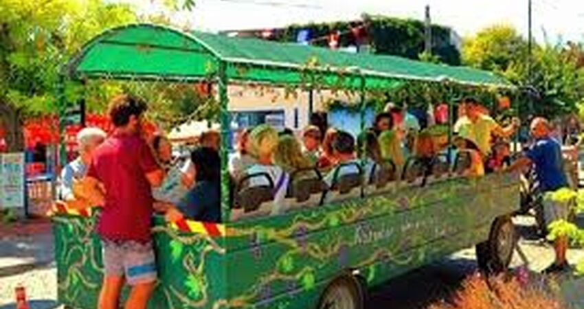 Bozcaada Bağ Bozumu Festivali Turu