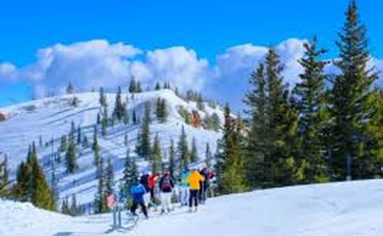 Bolu Kartalkaya Turu