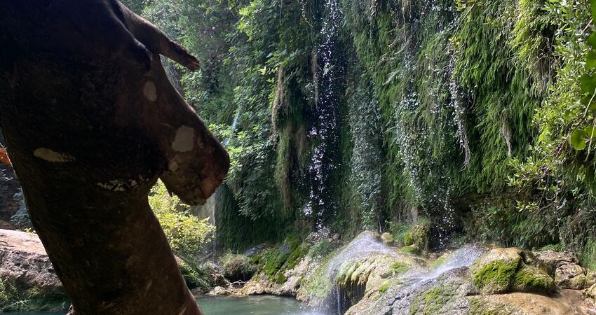 Olympos Tatili 4 Gece 5 Gün