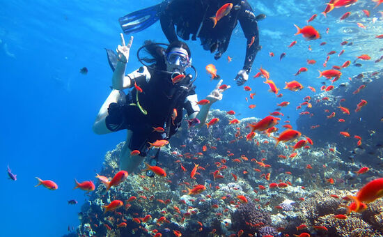 Sharm El Sheikh